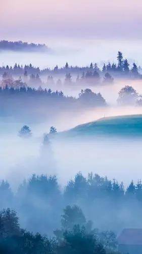 手机壁纸《第九十五期》高清无水印