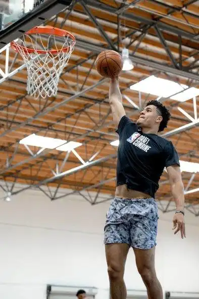 澳大利亚律师协会希望josh green .