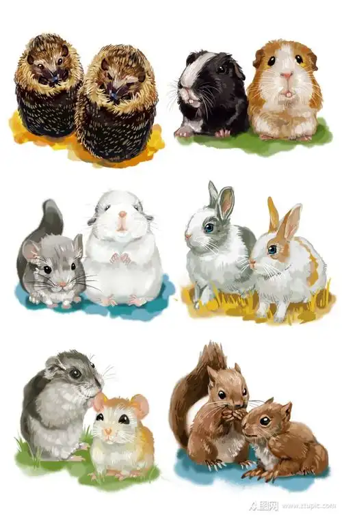 写实手绘小动物素材模板下载-编号515399-众图网