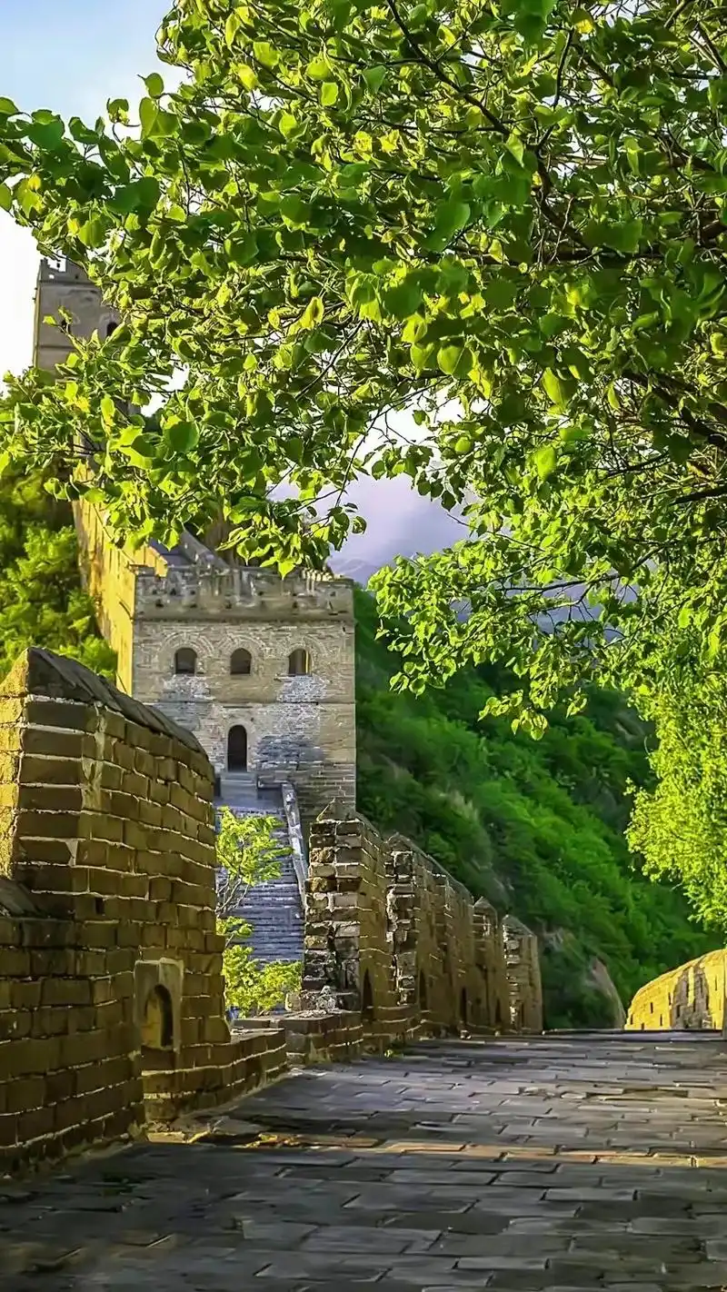 一年跑了无数次长城终于凑齐了春夏秋冬风景需要高清无水印图片的进入