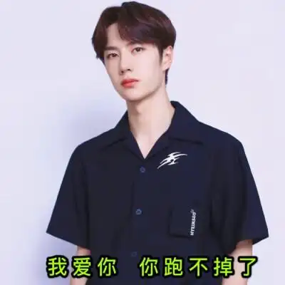 王一博自制表情包