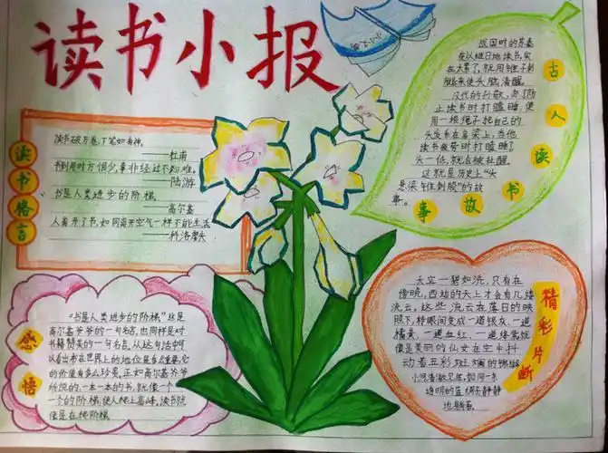 用4开纸做经典阅读做手抄报 经典阅读手抄报