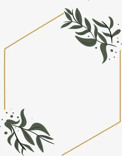 六边形线条边框