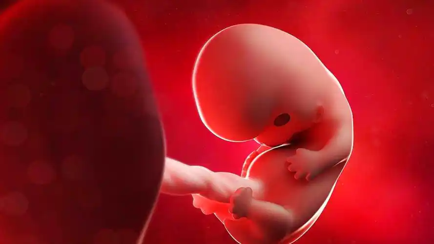 在前三个月,宝宝除了让妈妈难受外,还是比较乖的.