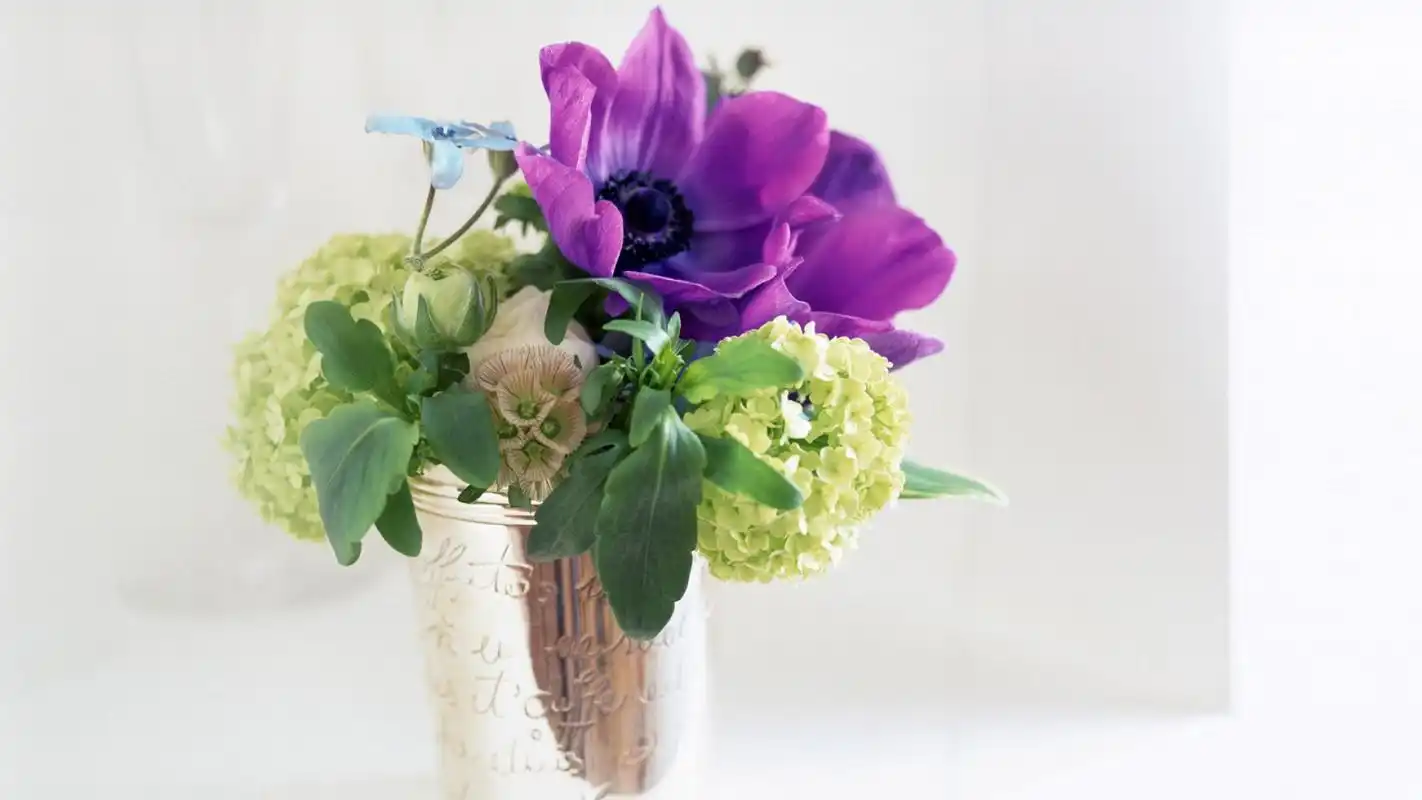 唯美简约小清新花卉植物高清桌面壁纸下载