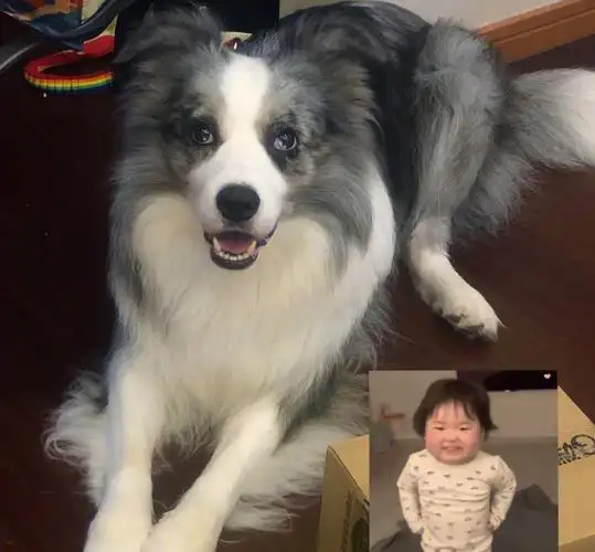 我爱了啊直接变身lucky小迷妹