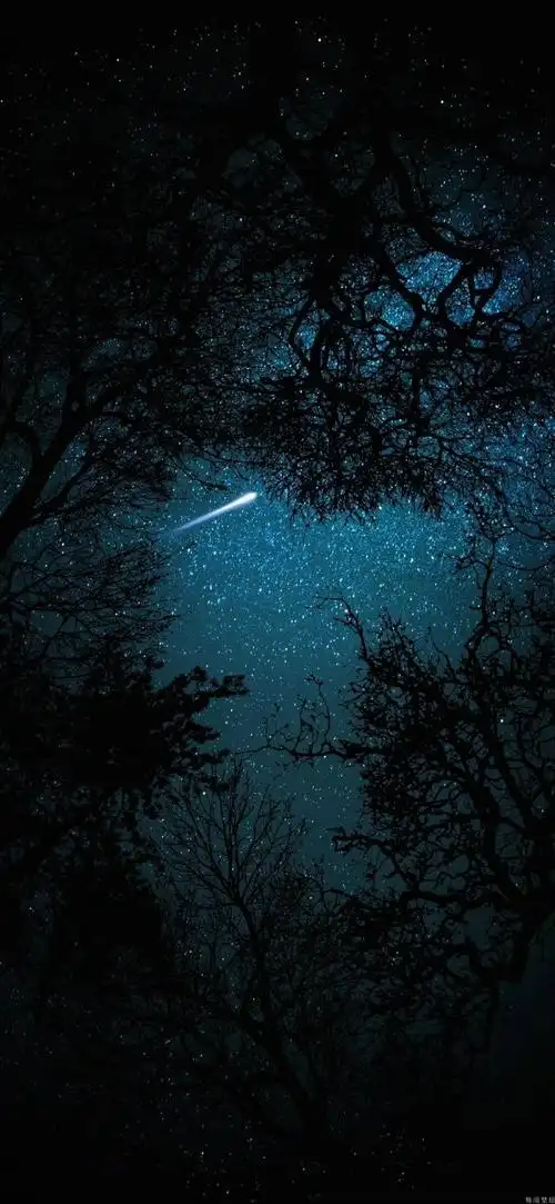 4k手机精美壁纸图片来袭!    #二次元新鲜事