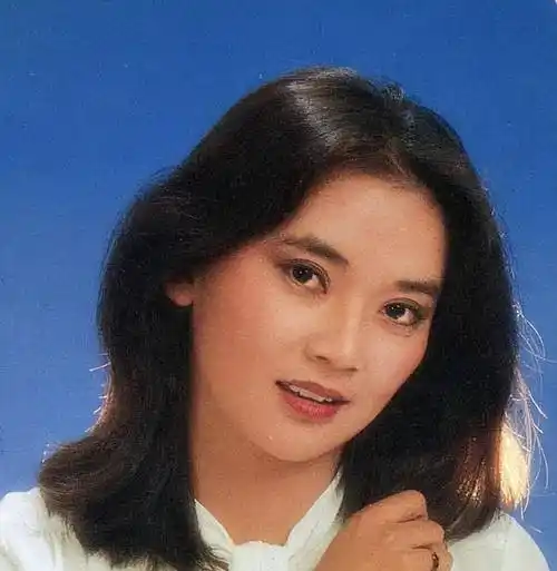 "霸王花"胡慧中:黑帮老大爱她入骨,现任入狱仍然不离不弃_重生_观众们