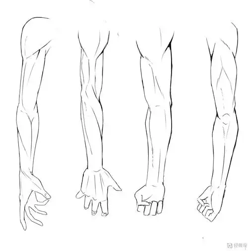 写生手臂—人体体块手臂肌肉的练习