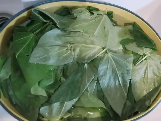 蒜蓉豆角叶的做法