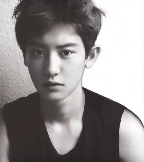 p>朴灿烈(         ,park chanyeol),1992年11月27日出生于韩国首尔