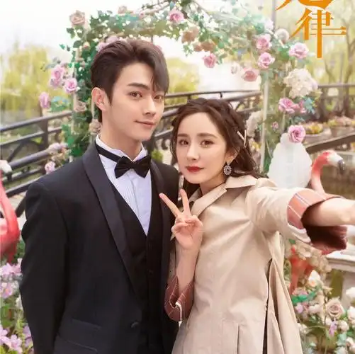 杨幂许凯爱的二八定律