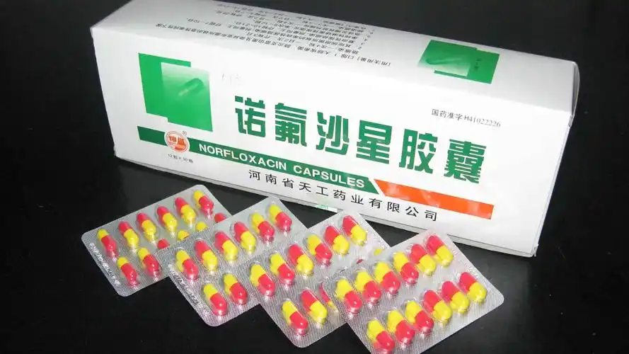 诺氟沙星胶囊(0.1g*10s*5板)采购_批发【/白云山东泰商丘药业有限公司