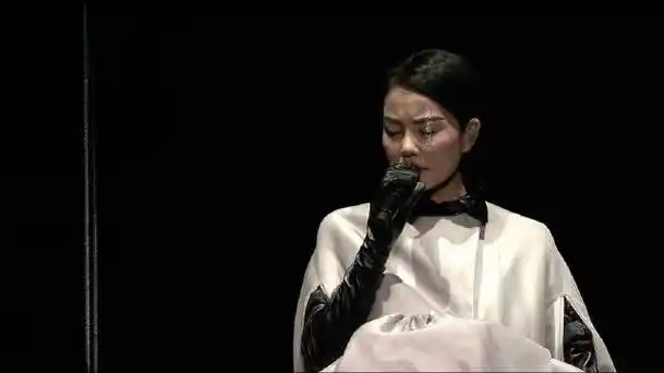 王菲《尘埃》现场版,作为《幻乐一场》的开场曲,尘埃恰到好处地充当了