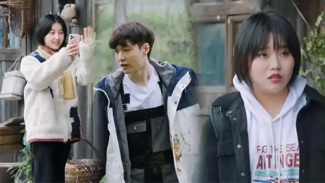 张艺兴种树替杨紫还债,李雪琴被冷落看穿一切,张子枫打视频八卦