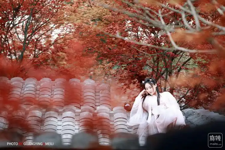 枫叶红情更浓--古风人像摄影