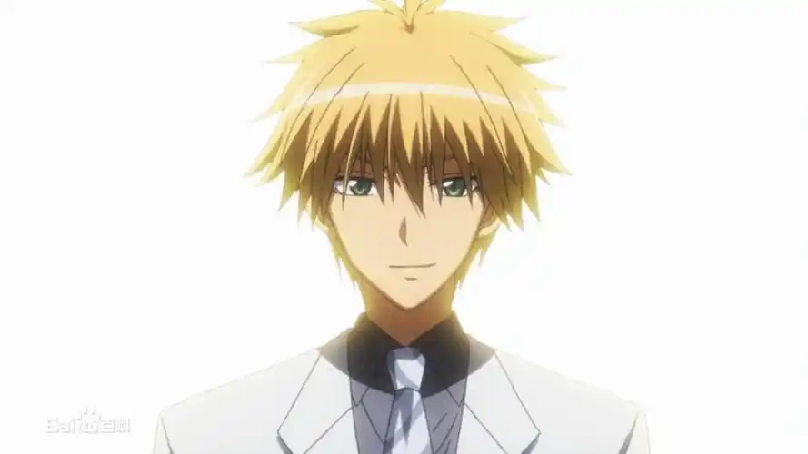 展开全部 出自动漫《会长是女仆》 人物:碓氷拓海 上面那张图是他