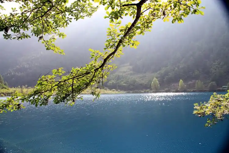 "水景之王"—九寨沟----甘南自驾游(九)