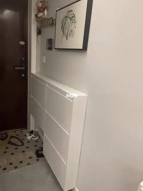 小户型,窄入户必看| 玄关鞋柜