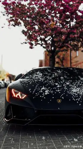 每日精选豪车壁纸,喜欢记得收藏和转发哦,谢谢您