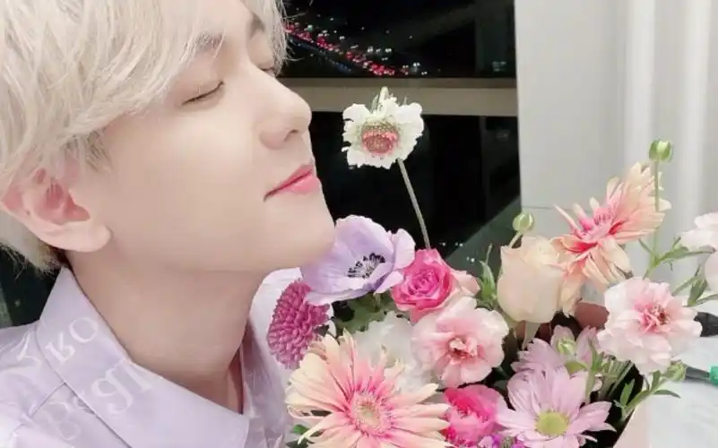 边伯贤沉迷于花的浪漫沉溺于挚爱的你