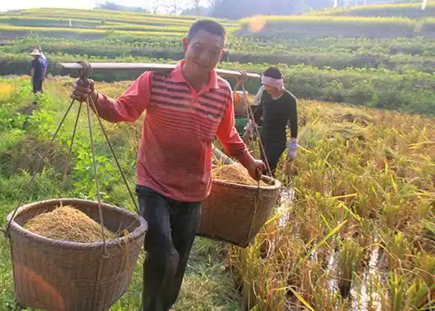 用扁担挑东西到底是绳子长轻松还是绳子短轻松