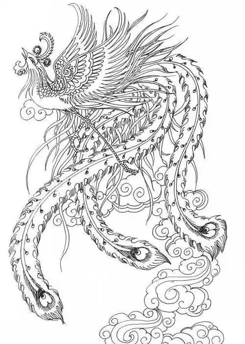 凤的简笔画6凤凰简笔画图片大全凤简笔画法百鸟朝凤艺术简笔画凤huang