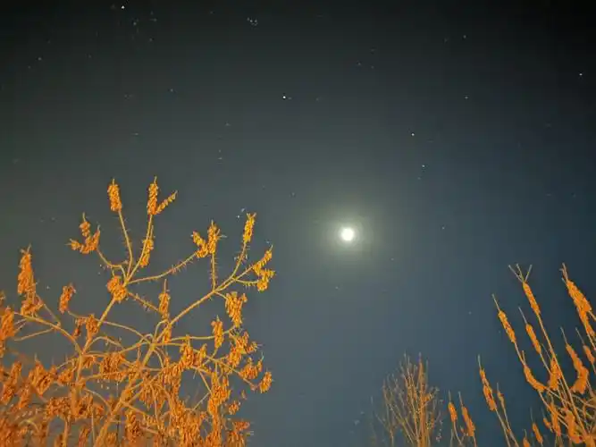 星月同辉我还是第一次拍到呢