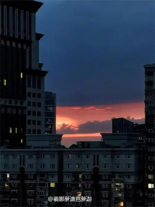 上海晚霞美炸了##有一种快乐叫上海之夏##属于上海人