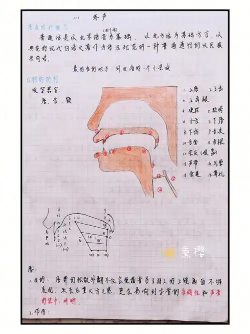 1080_1439竖版 竖屏