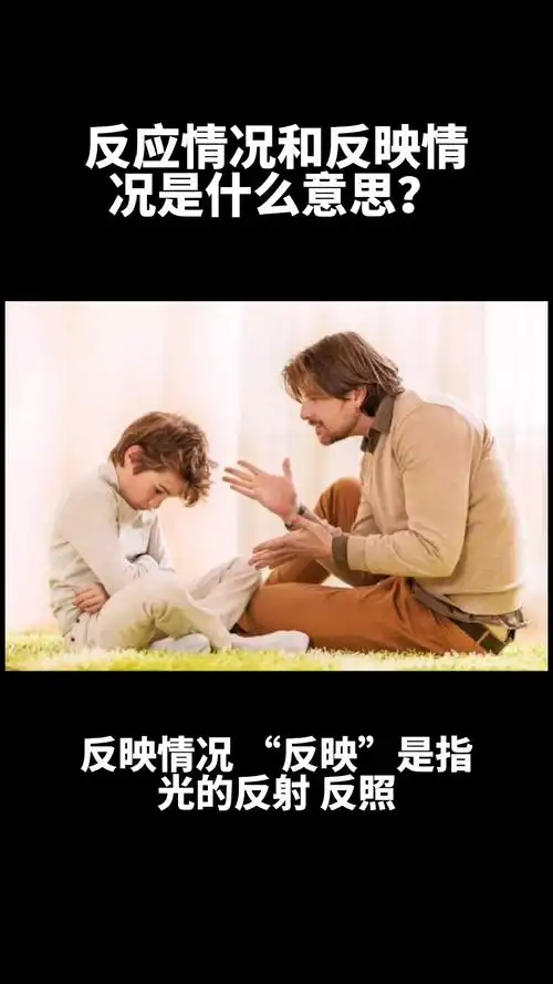 反应情况还是反映情况是什么意思?