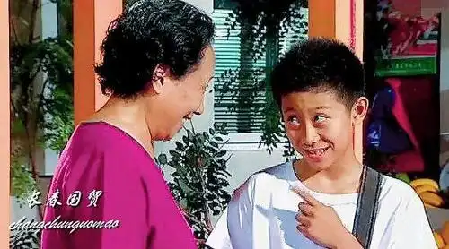 《家有儿女》是一部少儿题材的情景喜剧,讲述了两个离异家庭结合后