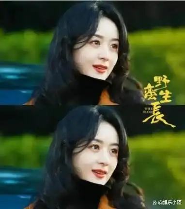 从冯绍峰视角看赵丽颖我那大杀四方的前妻如今有多厉害