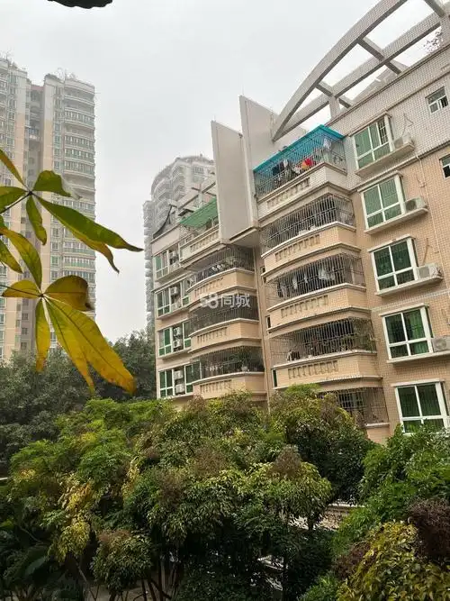 湛江开发区城市假日新世纪花园新世纪花园 3室2厅2卫出租房源真实图片