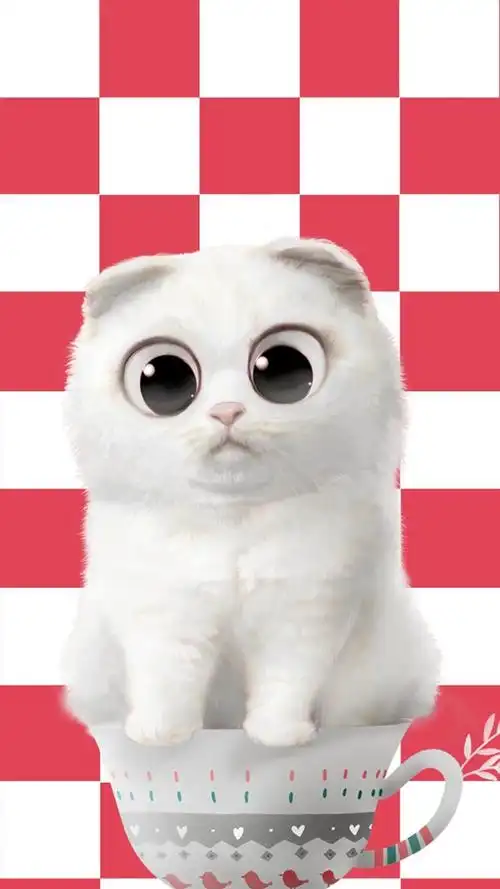 可爱搞笑小猫,高清图片,手机锁屏桌面-壁纸族