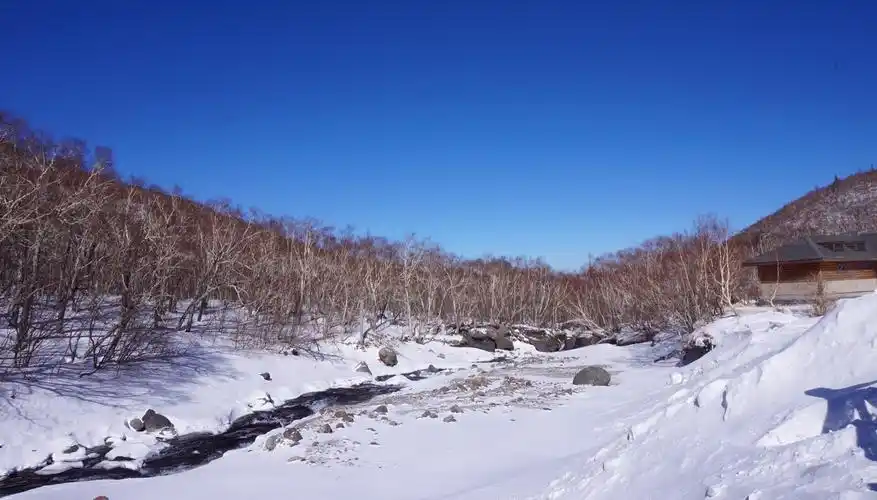 在长白山黑风口滚滚黑石下面有几十处温泉群
