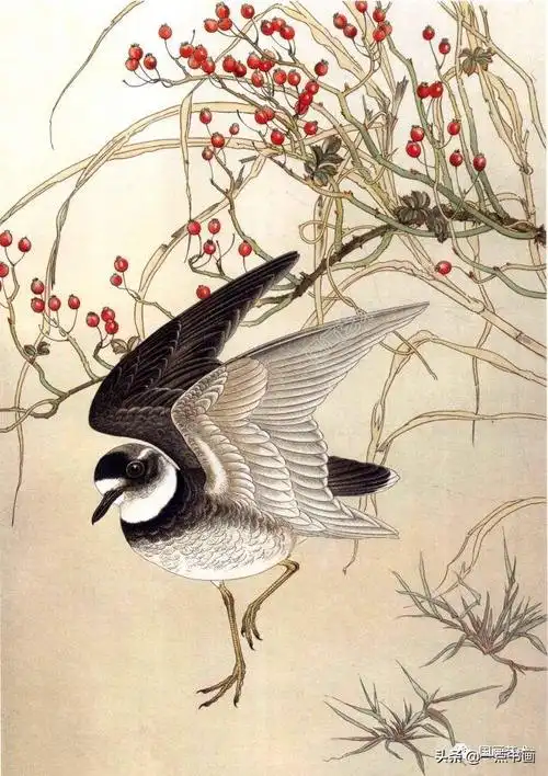 工笔百鸟图谱,栩栩如生(第一辑)