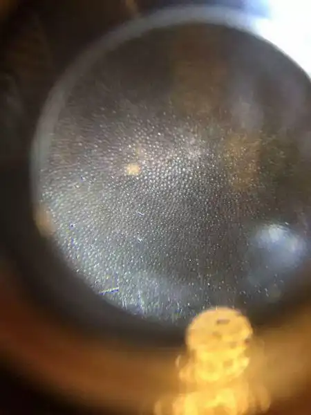 犀牛角做成顶珠之后怎么分辨真假