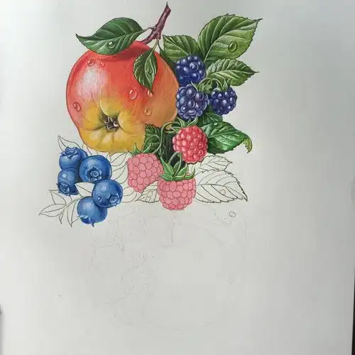 彩铅水果组合