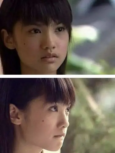 杨丞琳没整容,她的鼻子正面看起来肉扁,侧面一直有高度,我去找了流星