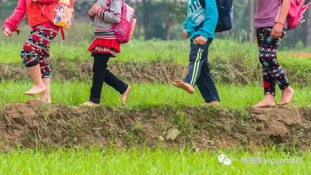 宾阳农村摄影赤脚走在田埂