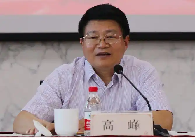 最后,高峰强调:一要进一步提高政治站位,守住底线;二要进一步突出重点