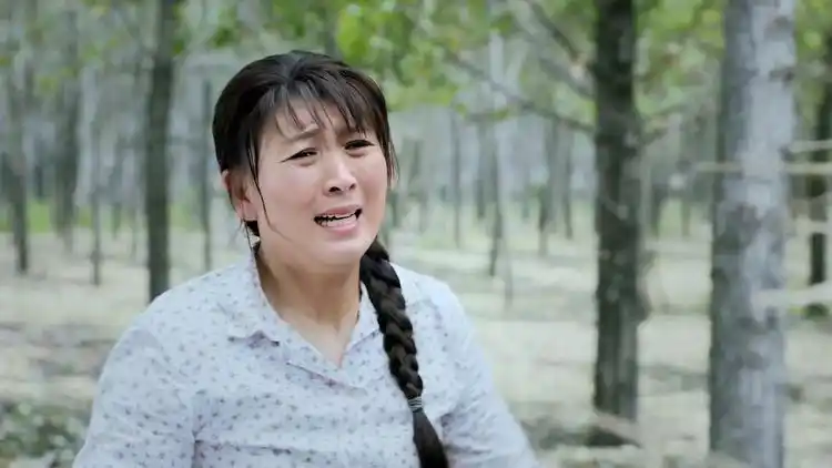 兰桐花开村子受灾后村民集体去要饭女支书得知后竟跪地阻拦