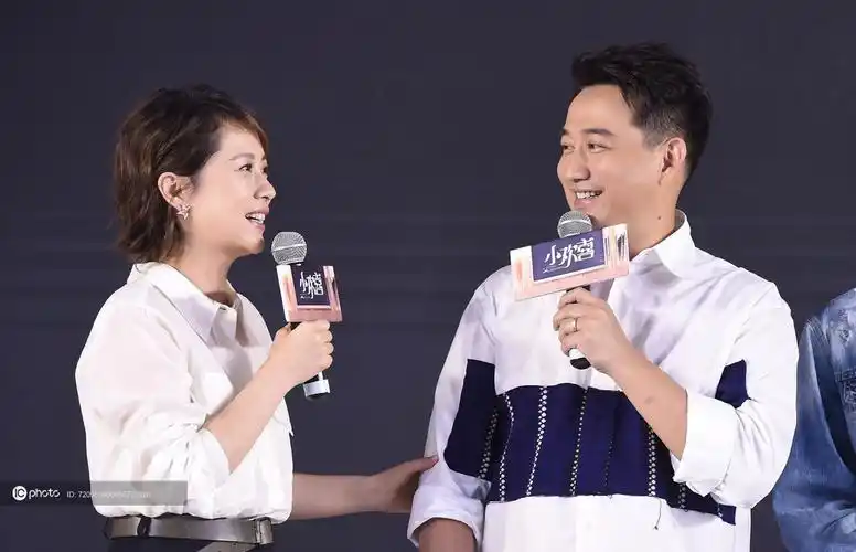 小别离姊妹篇小欢喜发布会海清黄磊戏路变窄又演父母陶虹沙溢加盟演绎