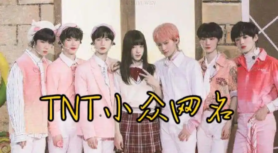 tnt小众粉丝网名