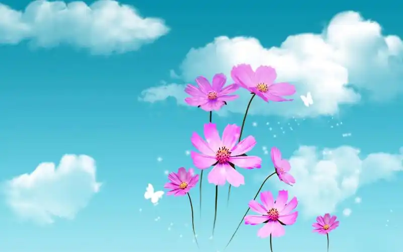 充满春天气息的高清壁纸设计壁纸