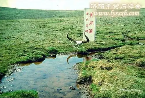 对黄河石的初步认识 图 - 华夏奇石网 - 洛阳市赏石协会官方网站