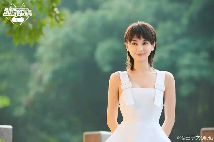 王子文 - 堆糖,美图壁纸兴趣社区