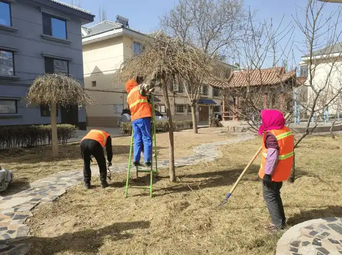 幸福邻里西平路社区发挥在职党员作用携手共建美好家园