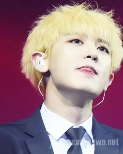 染发就学他 朴灿烈百变潮发色让女孩心花怒放